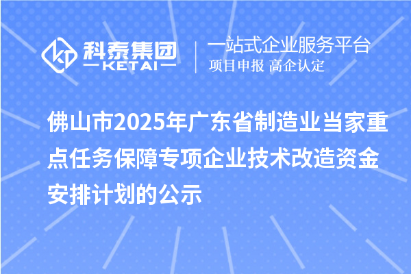 佛山市2025年廣東省制造業(yè)當(dāng)家重點(diǎn)任務(wù)保障專項(xiàng)企業(yè)技術(shù)改造資金安排計(jì)劃的公示