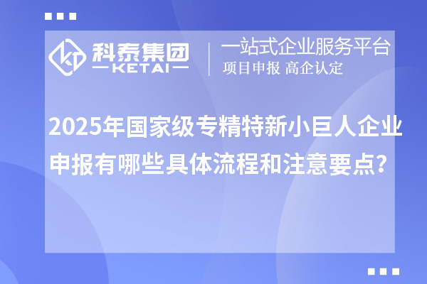 2025年國家級專精特新<a href=http://m.xjsygy.com/zjtx/ target=_blank class=infotextkey>小巨人企業申報</a>有哪些具體流程和注意要點?