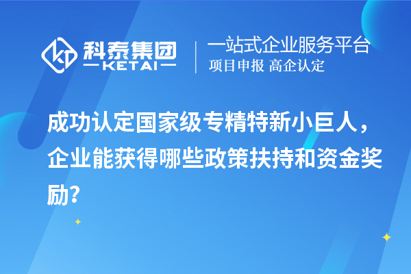成功認定國家級專精特新小巨人，企業能獲得哪些政策扶持和資金獎勵？