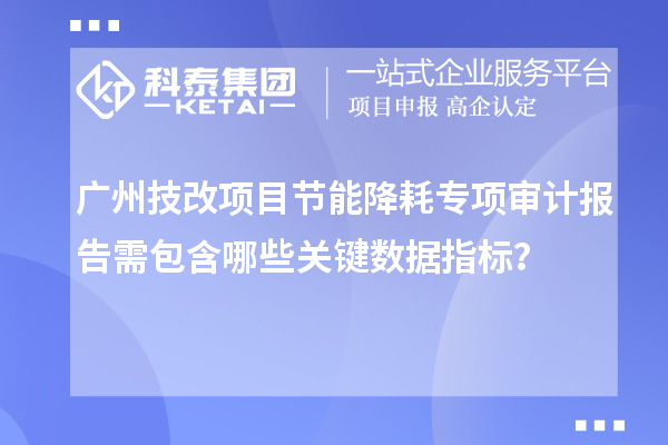 廣州技改項目節(jié)能降耗專項審計報告需包含哪些關鍵數(shù)據(jù)指標？