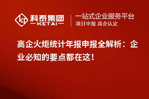 高企火炬統(tǒng)計(jì)年報(bào)申報(bào)全解析：企業(yè)必知的要點(diǎn)都在這！