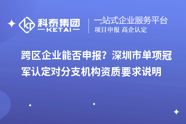 跨區企業能否申報？深圳市單項冠軍認定對分支機構資質要求說明
