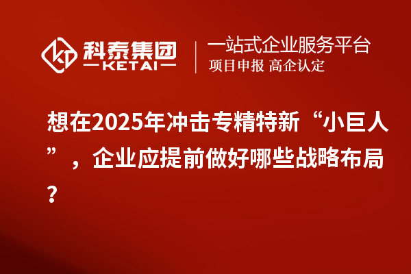 想在2025年沖擊專精特新 “小巨人”，企業應提前做好哪些戰略布局？