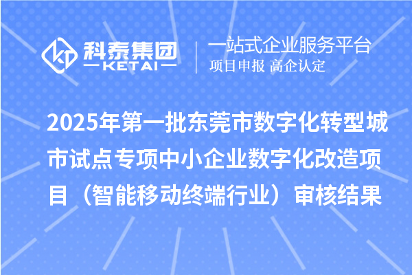 2025年第一批東莞市數字化轉型城市試點專項中小企業數字化改造項目（智能移動終端行業）審核結果