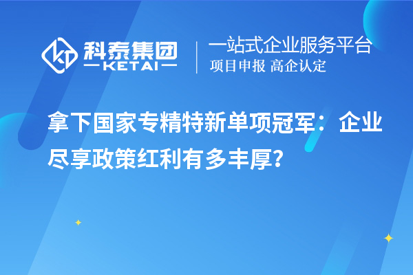 拿下國家專精特新單項冠軍：企業盡享政策紅利有多豐厚？