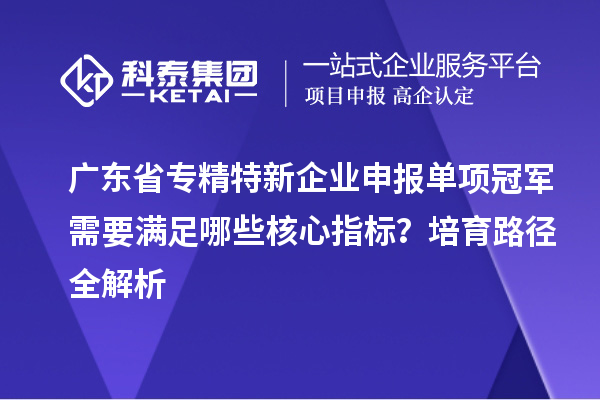 廣東省專精特新企業申報單項冠軍需要滿足哪些核心指標？培育路徑全解析