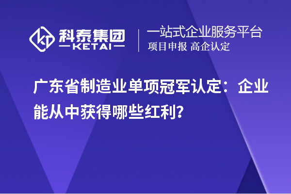 廣東省制造業單項冠軍認定：企業能從中獲得哪些紅利？