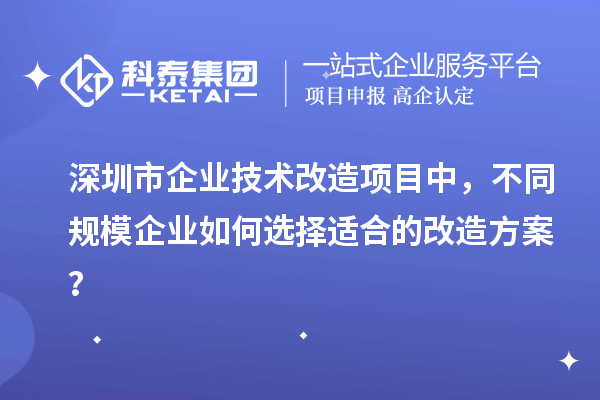 深圳市企業(yè)技術改造項目中，不同規(guī)模企業(yè)如何選擇適合的改造方案？