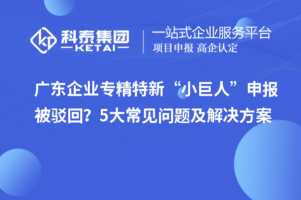 廣東企業(yè)專精特新“小巨人”申報(bào)被駁回？5大常見問題及解決方案