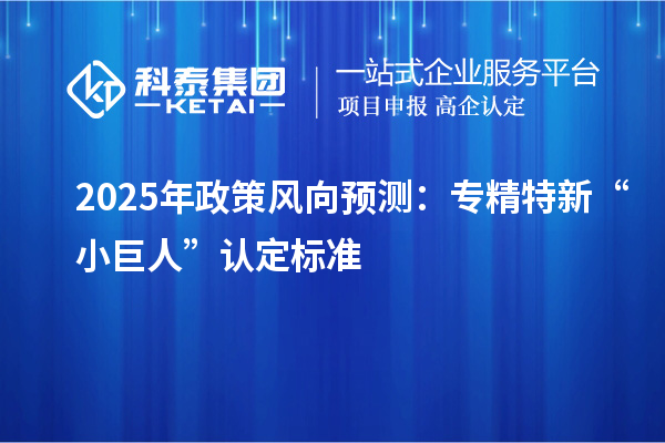 2025年政策風(fēng)向預(yù)測(cè):專精特新“小巨人”認(rèn)定標(biāo)準(zhǔn)