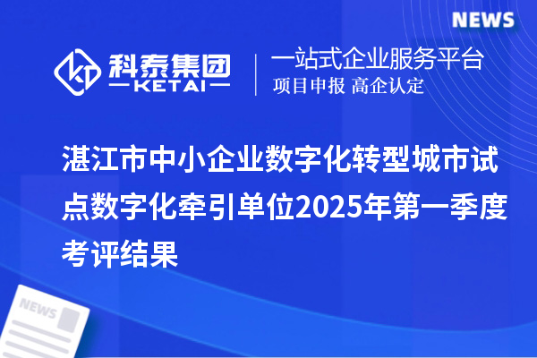湛江市中小企業數字化轉型城市試點數字化牽引單位2025年第一季度考評結果