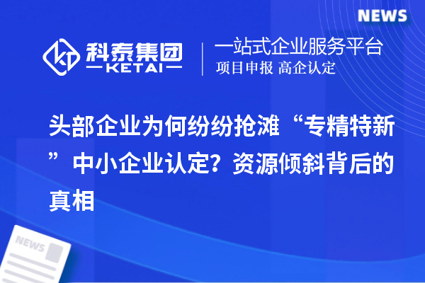 頭部企業為何紛紛搶灘“專精特新”中小企業認定?資源傾斜背后的真相