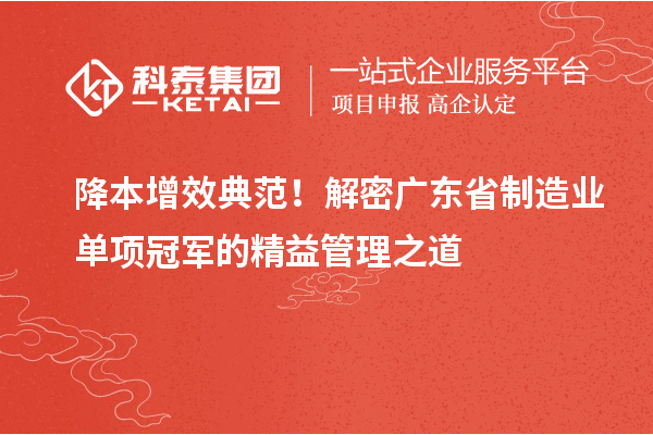 降本增效典范！解密廣東省制造業單項冠軍的精益管理之道