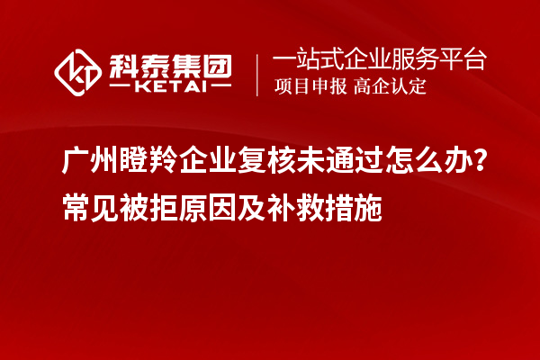 廣州瞪羚企業復核未通過怎么辦？常見被拒原因及補救措施