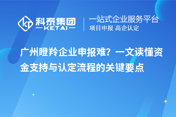 廣州瞪羚企業申報難?一文讀懂資金支持與認定流程的關鍵要點