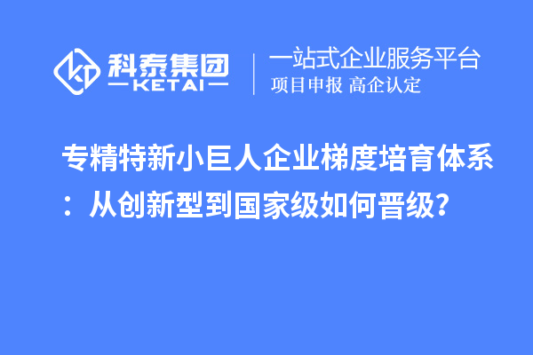 專精特新小巨人企業梯度培育體系:從創新型到國家級如何晉級?