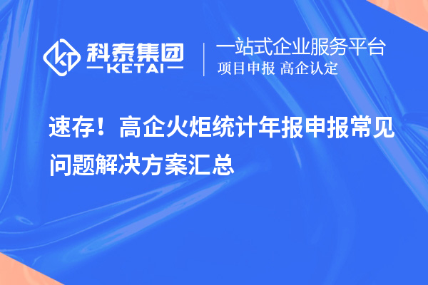 速存!高企火炬統計年報申報常見問題解決方案匯總