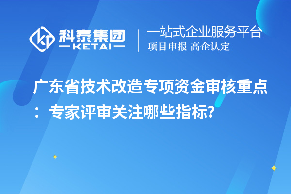 廣東省技術改造專項資金審核重點:專家評審關注哪些指標?