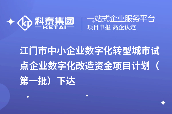 江門市中小企業數字化轉型城市試點企業數字化改造資金項目計劃（第一批）下達