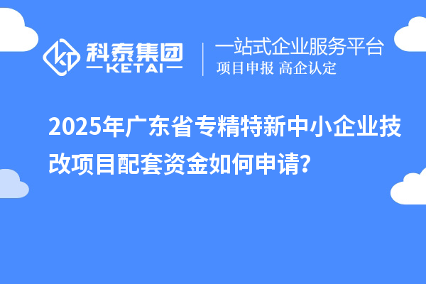 2025年廣東省專精特新中小企業技改項目配套資金如何申請？
