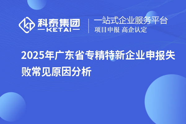 2025年廣東省專精特新企業(yè)申報(bào)失敗常見(jiàn)原因分析