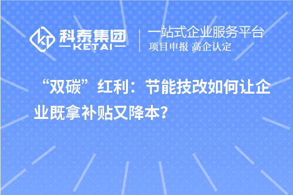 “雙碳”紅利：節能技改如何讓企業既拿補貼又降本？
