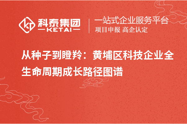 從種子到瞪羚:黃埔區科技企業全生命周期成長路徑圖譜