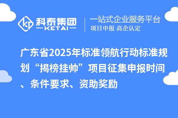 廣東省2025年標準領航行動標準規劃“揭榜掛帥”項目征集申報時間、條件要求、資助獎勵