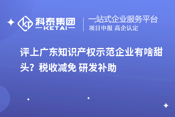 評(píng)上廣東知識(shí)產(chǎn)權(quán)示范企業(yè)有啥甜頭?稅收減免+研發(fā)補(bǔ)助