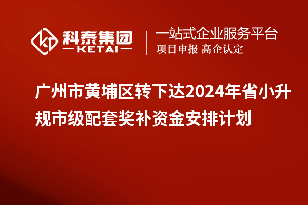 廣州市黃埔區轉下達2024年省小升規市級配套獎補資金安排計劃