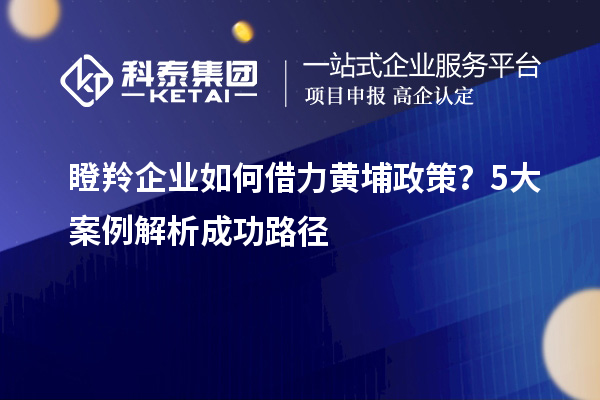 瞪羚企業(yè)如何借力黃埔政策？5大案例解析成功路徑