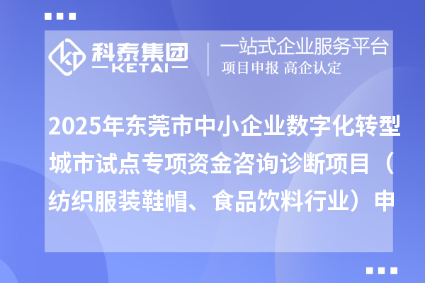 2025年東莞市中小企業數字化轉型城市試點專項資金咨詢診斷項目（紡織服裝鞋帽、食品飲料行業）申報條件要求、資助獎勵