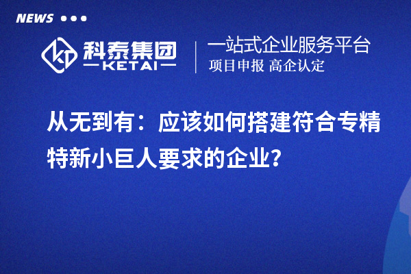 從無到有:應(yīng)該如何搭建符合專精特新小巨人要求的企業(yè)?