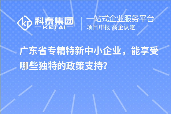 廣東省專精特新中小企業，能享受哪些獨特的政策支持？