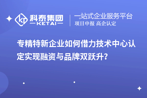 專精特新企業(yè)如何借力技術(shù)中心認(rèn)定實(shí)現(xiàn)融資與品牌雙躍升?