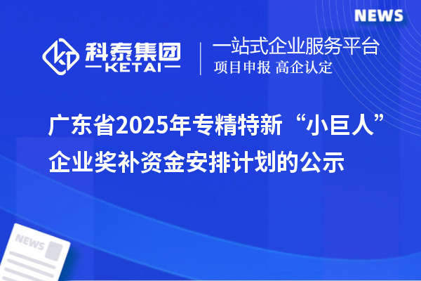 廣東省2025年專精特新“小巨人”企業(yè)獎補(bǔ)資金安排計劃的公示