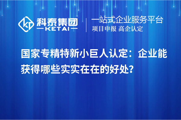 國(guó)家專精特新小巨人認(rèn)定：企業(yè)能獲得哪些實(shí)實(shí)在在的好處？