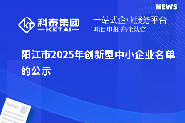 陽江市2025年創新型中小企業名單的公示