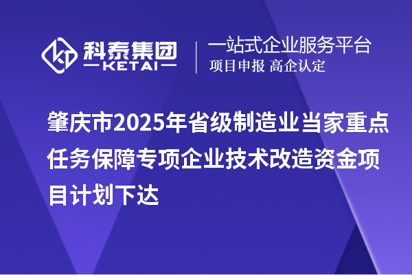 肇慶市2025年省級(jí)制造業(yè)當(dāng)家重點(diǎn)任務(wù)保障專項(xiàng)企業(yè)技術(shù)改造資金項(xiàng)目計(jì)劃下達(dá)