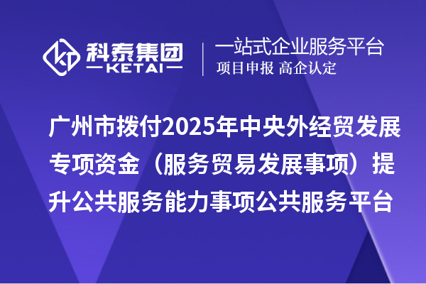 廣州市撥付2025年中央外經貿發展專項資金(服務貿易發展事項)提升公共服務能力事項公共服務平臺項目資金