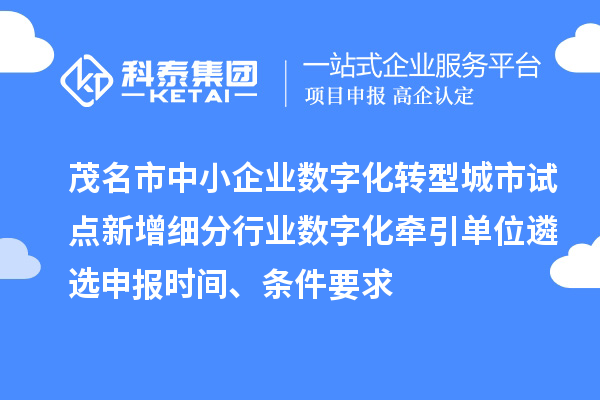 茂名市中小企業數字化轉型城市試點新增細分行業數字化牽引單位遴選申報時間、條件要求
