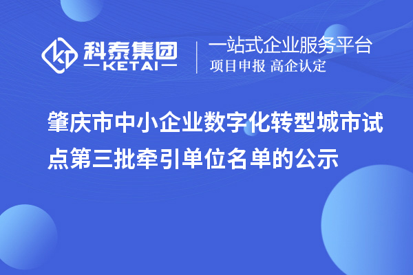 肇慶市中小企業數字化轉型城市試點第三批牽引單位名單的公示