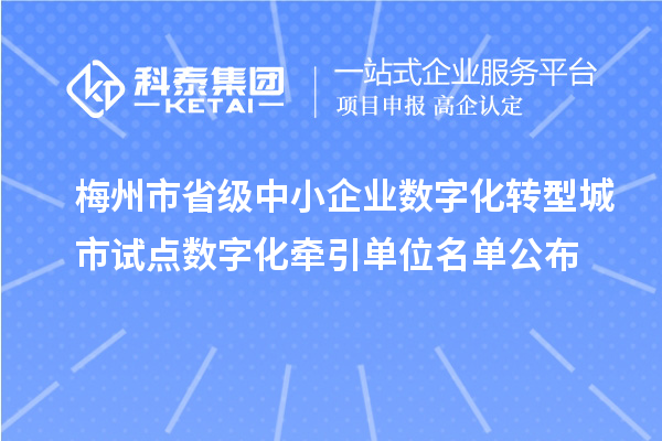 梅州市省級中小企業數字化轉型城市試點數字化牽引單位名單公布