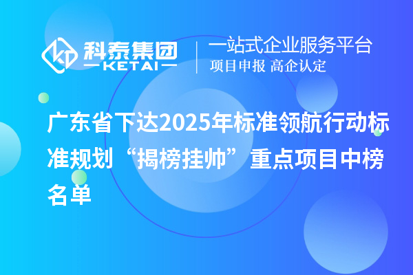 廣東省下達2025年標準領航行動標準規劃“揭榜掛帥”重點項目中榜名單