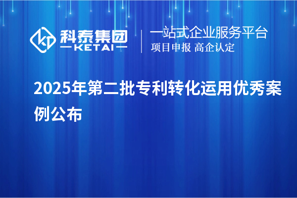 2025年第二批專利轉化運用優秀案例公布