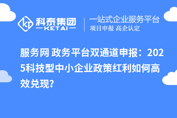 服務網+政務平臺雙通道申報：2025科技型中小企業政策紅利如何高效兌現？