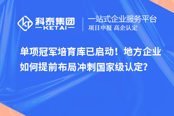單項冠軍培育庫已啟動！地方企業如何提前布局沖刺國家級認定？