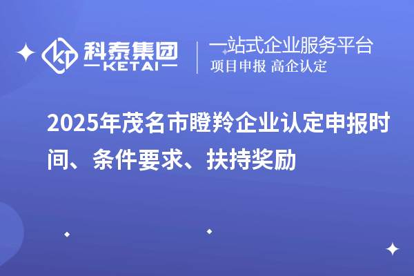 2025年茂名市瞪羚企業(yè)認(rèn)定申報(bào)時(shí)間、條件要求、扶持獎(jiǎng)勵(lì)