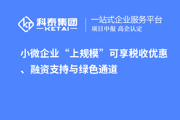 小微企業(yè)“上規(guī)模”可享稅收優(yōu)惠、融資支持與綠色通道