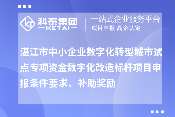 湛江市中小企業數字化轉型城市試點專項資金數字化改造標桿<a href=http://m.xjsygy.com/shenbao.html target=_blank class=infotextkey>項目申報</a>條件要求、補助獎勵